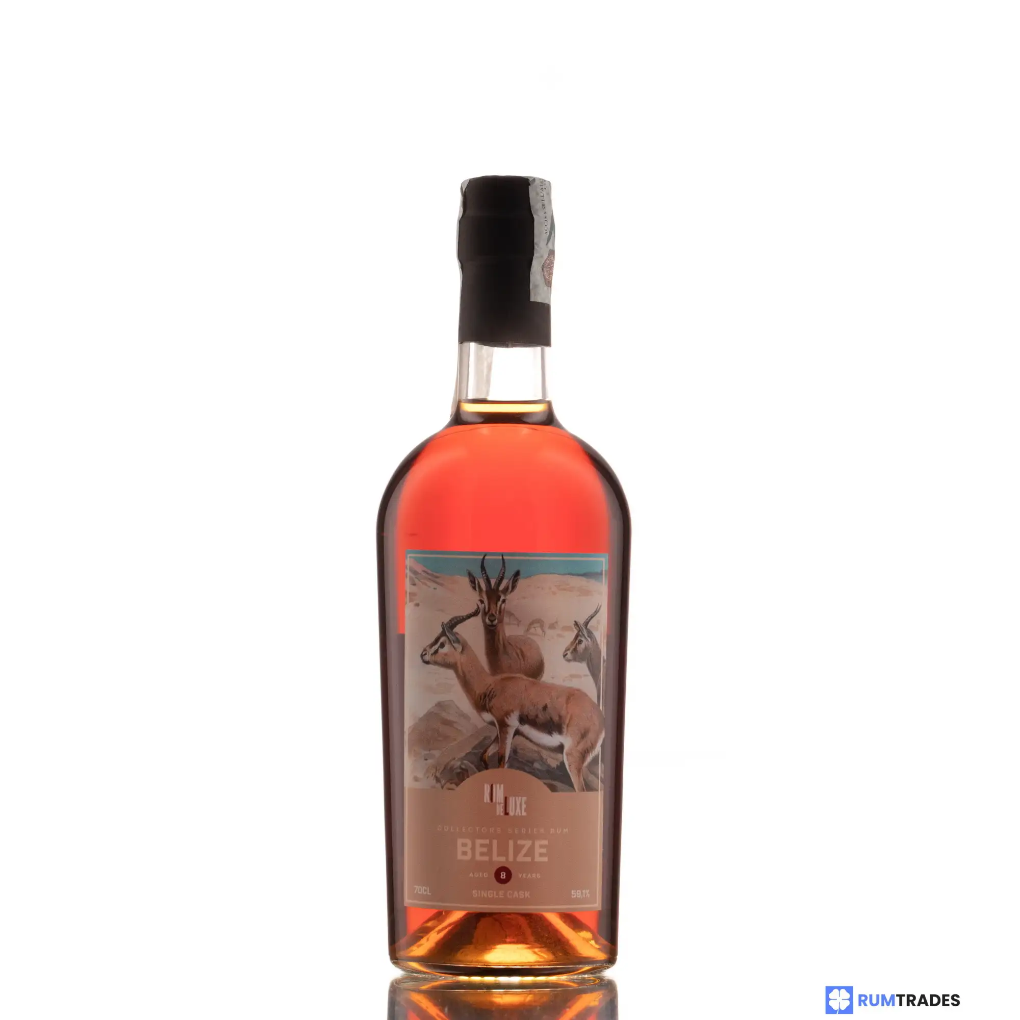 Hochauflösendes Bild von Romdeluxe Travellers Collectors Series No. 9