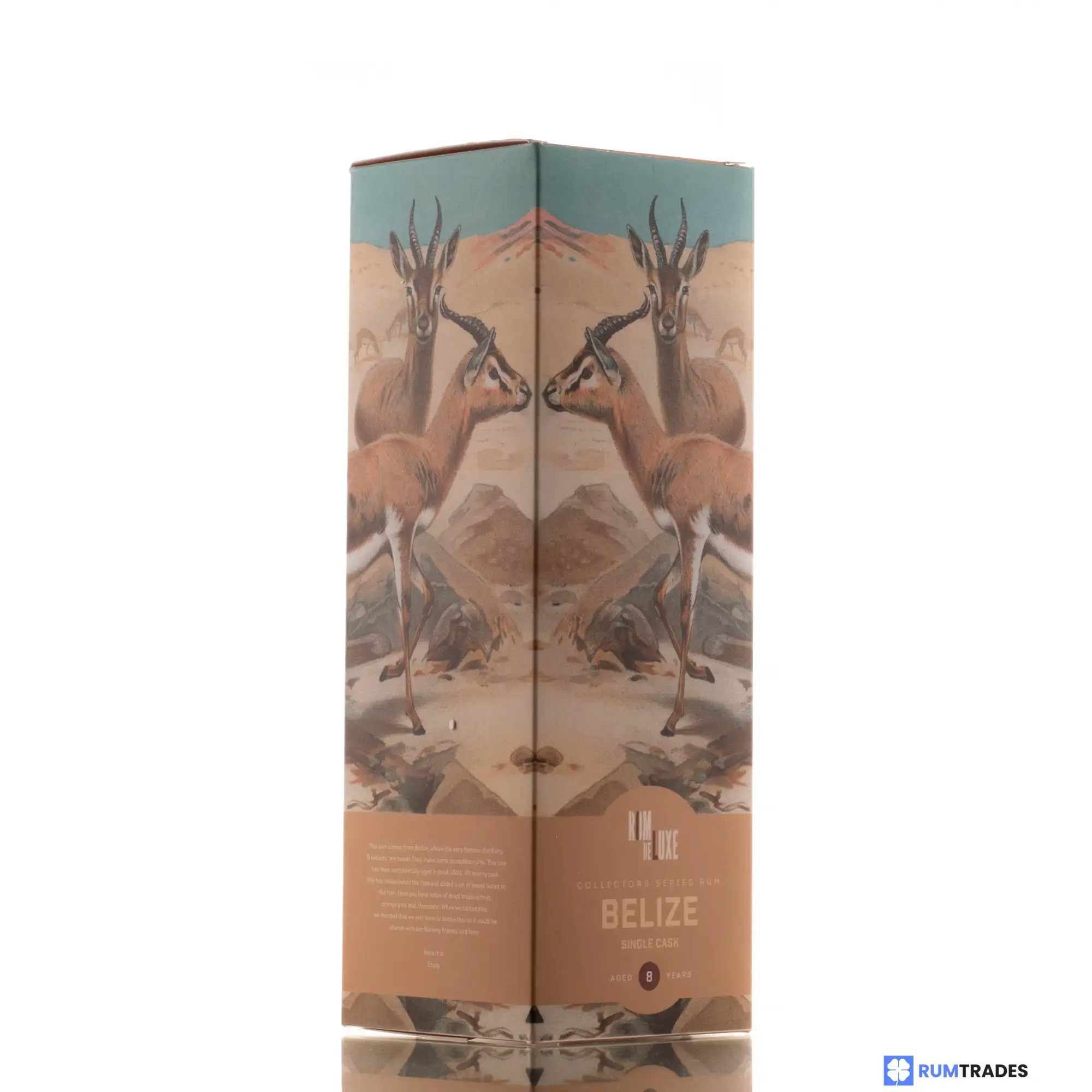 Hochauflösendes Bild von Romdeluxe Travellers Collectors Series No. 9