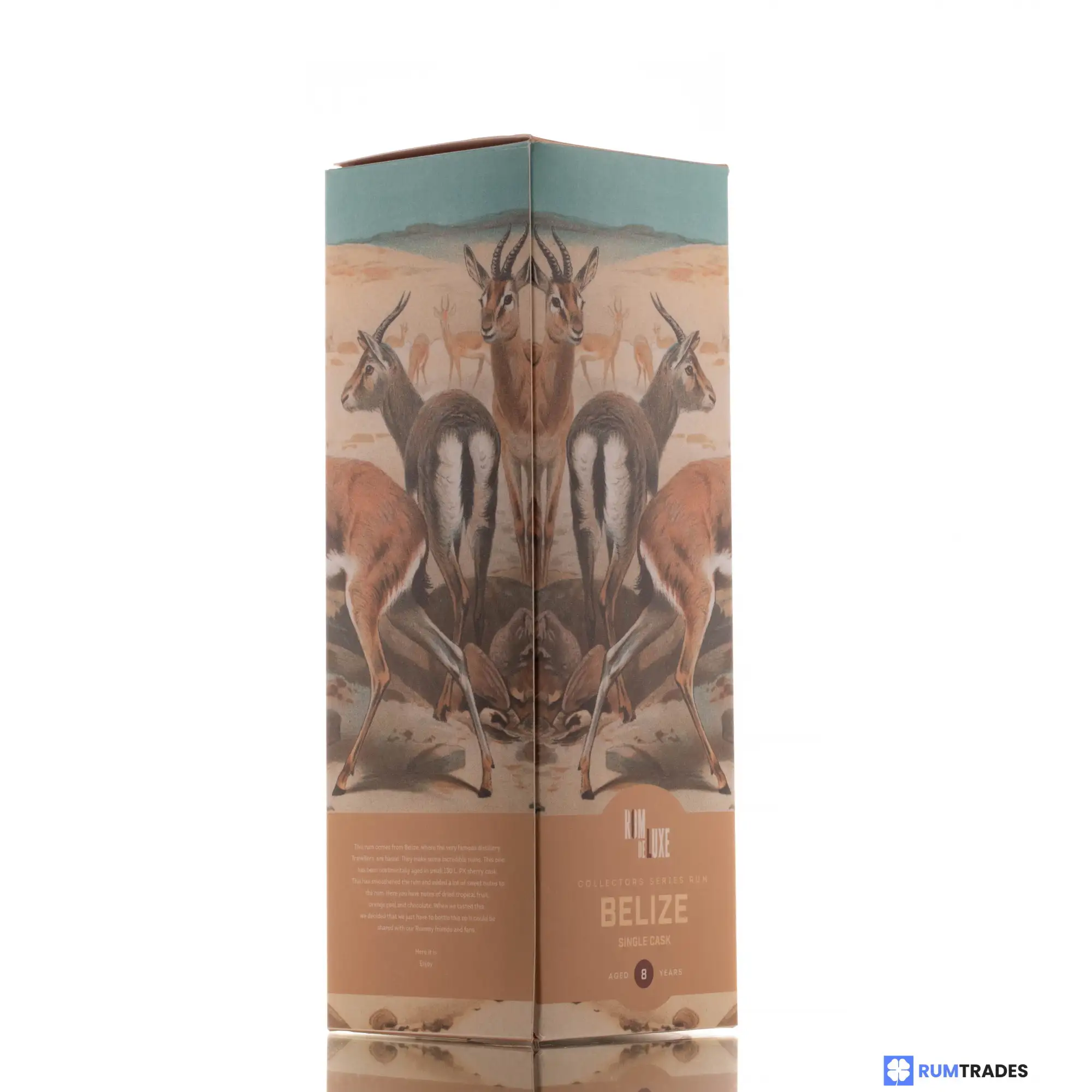 Hochauflösendes Bild von Romdeluxe Travellers Collectors Series No. 9