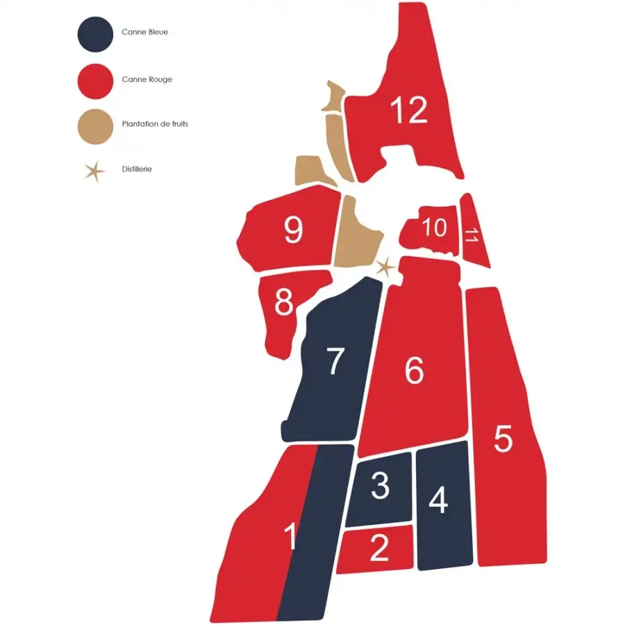 Bottle of Longueteau Sélection Parcellaire N.4 2019